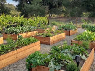 Raised-Garden-Beds