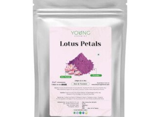Lotus Petals