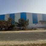 whatsapp-image-2026-01-23-at-5-28-24-pm