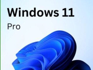 Windows 11 Pro