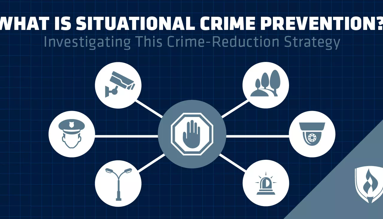 Public Policy Implications and Crime Prevention Strategies