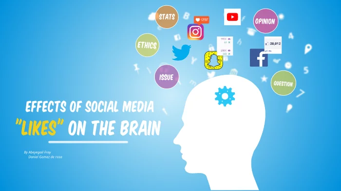 Digital Media's Effects on the Brain