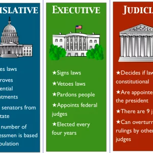 Three Branches of the Federal Government