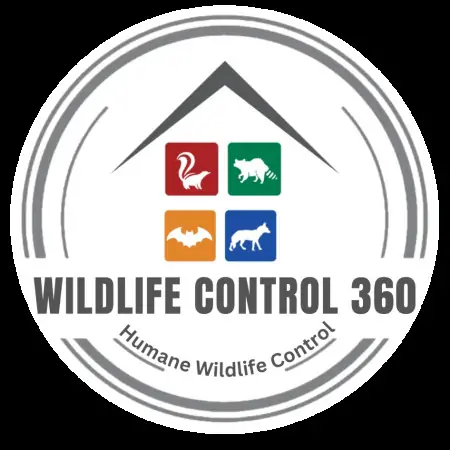 Profile picture of Wildlife Control 360