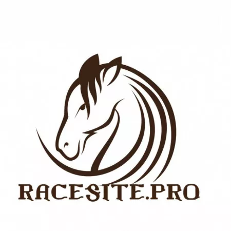 Profile picture of racesite.pro